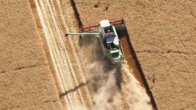 Harvest in the Beauce