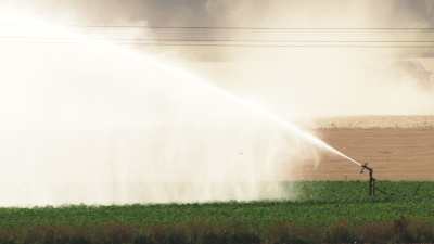 Harvests in the Beauce