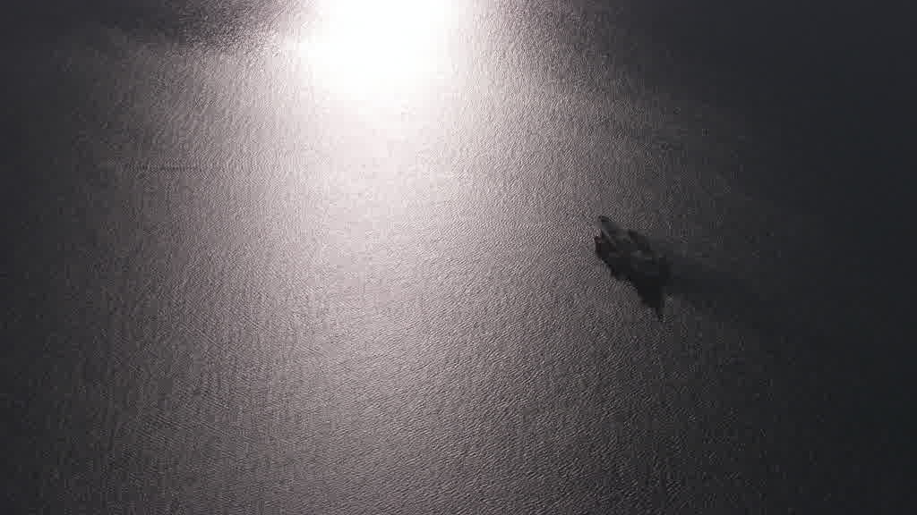 Navires à couple en mer