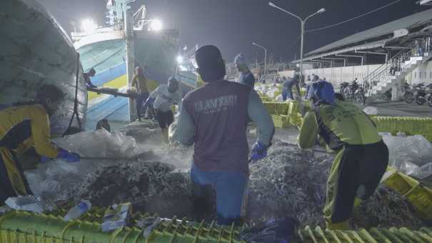 Fishing harbour and activities on the North shore of Java