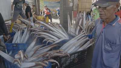 Fishing harbour and activities on the North shore of Java