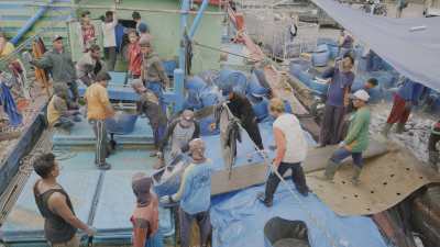 Fishing harbour and activities on the North shore of Java