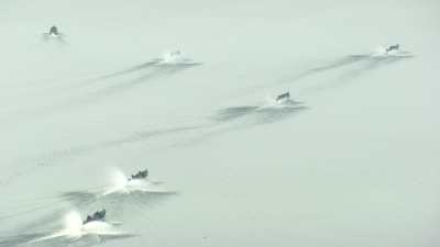 Boats