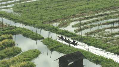 Fields and Marshes